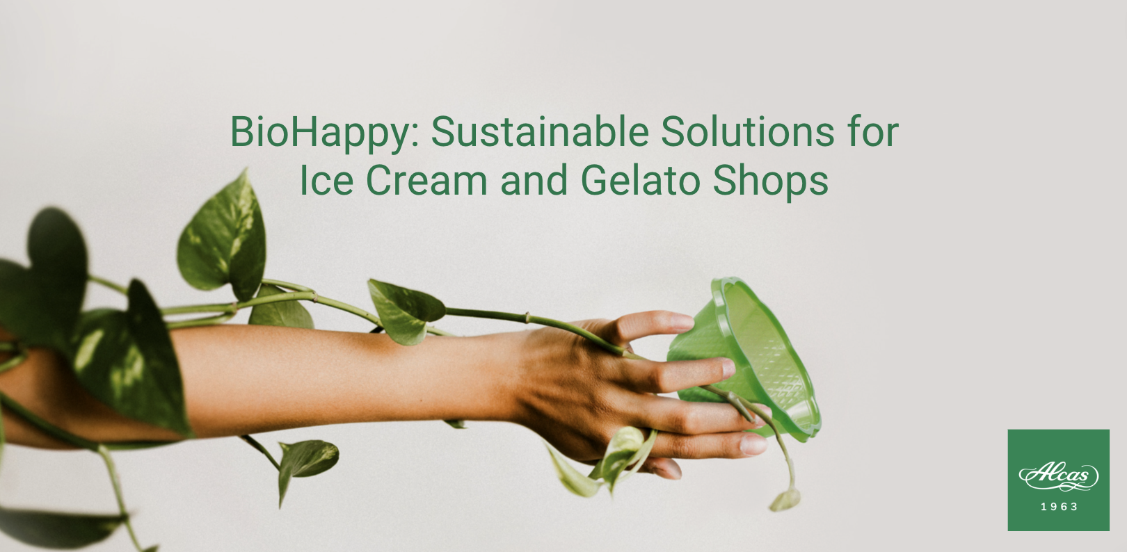 Customized Trays Curved Glass Italian Soft Ice Cream Gelato